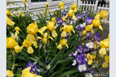 188 Henderson Road, Fairfield, CT 06824 - Photo 36