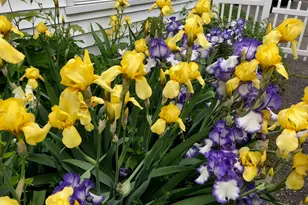 188 Henderson Rd, Fairfield, CT 06824 - Photo 36