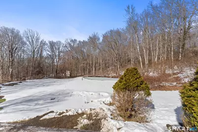 133 White Deer Rocks Road, Woodbury, CT 06798 - Photo 38