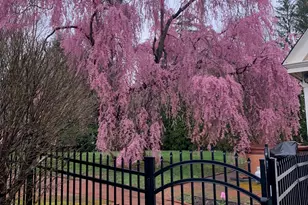 1542 Main St, Glastonbury, CT 06033 - Photo 38