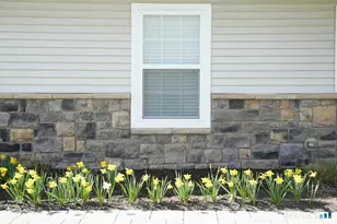 42 Lexie Ln, South Windsor, CT 06074 - Photo 38