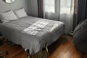 25 Norris St, Waterbury, CT 06705 - Photo 38