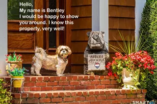 427 Long Mountain Rd, New Milford, CT 06776 - Photo 40