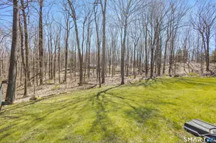 18 N Branch Rd, Newtown, CT 06470 - Photo 32