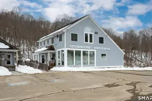 168 New Milford Turnpike, Washington, CT 06777 - Photo 1