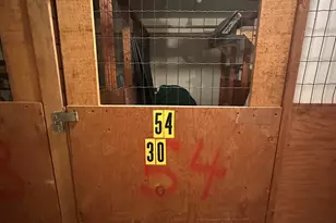 21 Putter Dr, Wallingford, CT 06492 - Photo 30