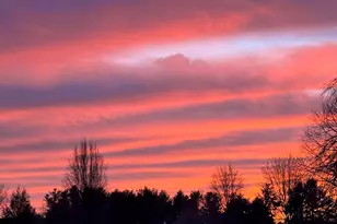 9 Partridge Landing, Glastonbury, CT 06033 - Photo 4