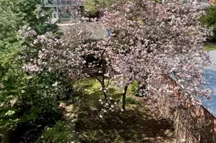 38 Eld St, New Haven, CT 06511 - Photo 32