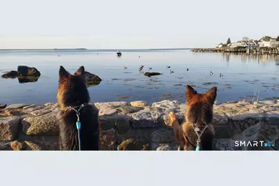 117 Water Street #1, Stonington, CT 06378 - Photo 4