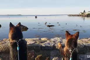 117 Water St, Stonington, CT 06378 - Photo 4