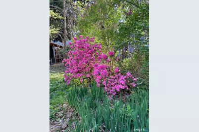 194 Canner Street, New Haven, CT 06511 - Photo 34