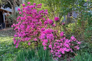 194 Canner St, New Haven, CT 06511 - Photo 34