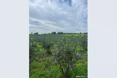 280-300 Matson Hill Road, Glastonbury, CT 06073 - Photo 12