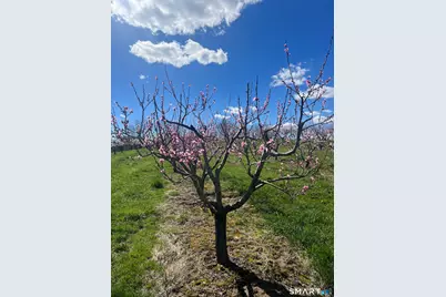 280-300 Matson Hill Road, Glastonbury, CT 06073 - Photo 32