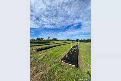 280-300 Matson Hill Road, Glastonbury, CT 06073 - Photo 28