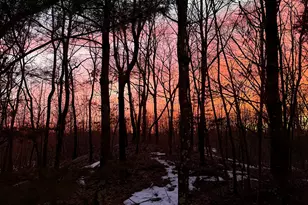 380 Hitchcock Rd, Waterbury, CT 06705 - Photo 28