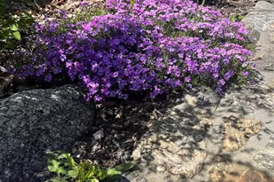 2 Glenway, New Fairfield, CT 06812 - Photo 26