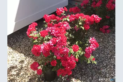 5 Westmont Road, Wethersfield, CT 06109 - Photo 14