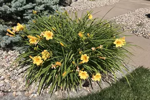 5 Westmont Rd, Wethersfield, CT 06109 - Photo 18