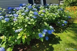 7 Old Forge Rd, North Haven, CT 06473 - Photo 38