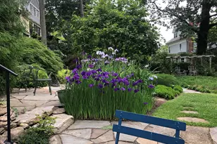 15 Edgehill Rd, New Haven, CT 06511 - Photo 28