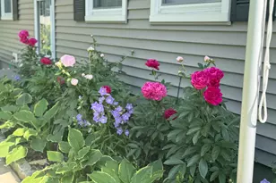 38 Vernon Rd, Enfield, CT 06082 - Photo 2