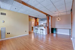 222 Williams St E, Glastonbury, CT 06033 - Photo 10