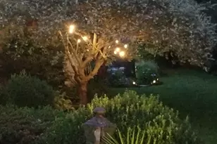 9 Point O Woods Rd S, Darien, CT 06820 - Photo 38