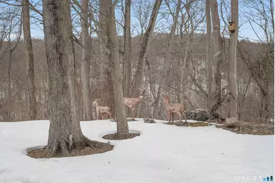 108 Clark Road #TRLR 10, Naugatuck, CT 06770 - Photo 26