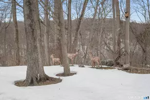 108 Clark Rd, Naugatuck, CT 06770 - Photo 26