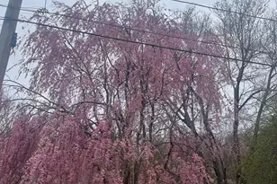 39 Long Pond Rd S, Ledyard, CT 06339 - Photo 28