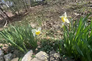 78 Rockledge Loop, Torrington, CT 06790 - Photo 26