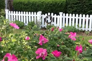 65 Clark Gates Rd, East Haddam, CT 06469 - Photo 38