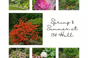 154 Hull St, Ansonia, CT 06401 - Photo 38