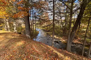 447 South St, Litchfield, CT 06759 - Photo 36