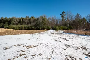 121 New Rd, Thompson, CT 06277 - Photo 6