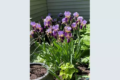 1347 Hall Boulevard, Bloomfield, CT 06002 - Photo 28