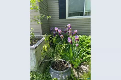 1347 Hall Boulevard, Bloomfield, CT 06002 - Photo 36