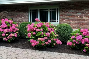 61 Ashbee Ln, Ridgefield, CT 06877 - Photo 30