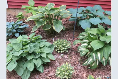 64 Summerwood Ridge, Tolland, CT 06084 - Photo 6