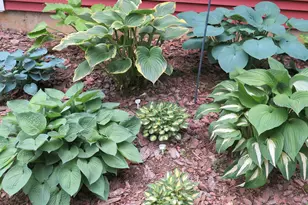 64 Summerwood Ridge, Tolland, CT 06084 - Photo 6