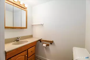 19 Cedar Dr, Danbury, CT 06811 - Photo 32