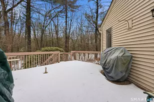 137 The Laurels, Enfield, CT 06082 - Photo 36