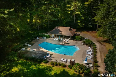 137 The Laurels #137, Enfield, CT 06082 - Photo 40