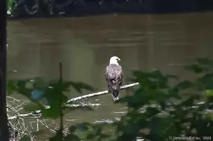 47 Johnson Rd, Kent, CT 06757 - Photo 38