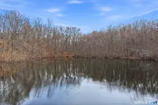 38 Parker Rd, Marlborough, CT 06447 - Photo 14