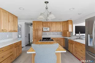 22 Sadds Mill Rd, Ellington, CT 06029 - Photo 14