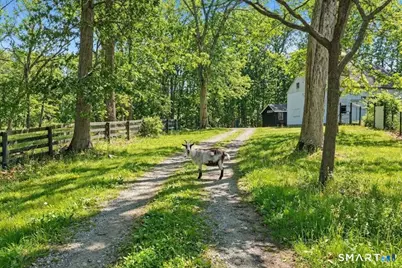 17 Colonial Drive, Killingworth, CT 06419 - Photo 40