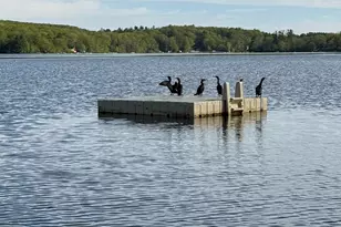 27 Dilliston Rd, New Hartford, CT 06057 - Photo 38