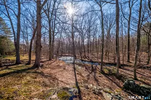 24 Indigo Trail, Madison, CT 06433 - Photo 38